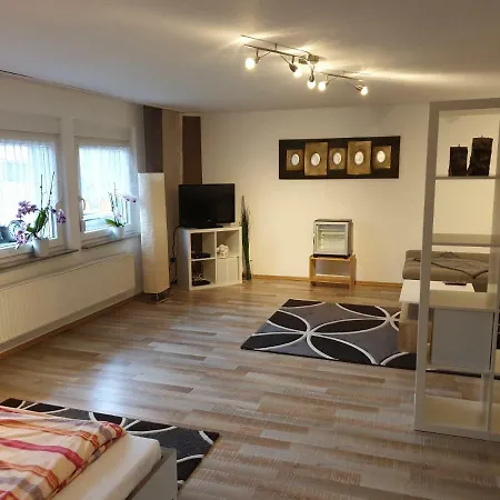 Апартаменты Ferienwohnung Sondermann Netphen